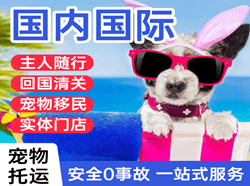 武宿机场货运国际宠物托运 【国